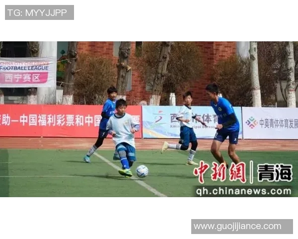 2017年青少年足球联赛精彩回顾与未来发展展望