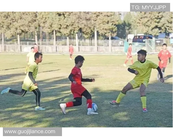 丽江足球群聚焦本地足球发展助力青少年成长与社区团结